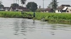 Kabar Gembira: Berkat Kerja Keras dan Koordinasi Intens Camat Pedamaran, Gulma Timboan Penyesak Sungai Berhasil Dibersihkan Total