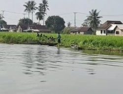 Kabar Gembira: Berkat Kerja Keras dan Koordinasi Intens Camat Pedamaran, Gulma Timboan Penyesak Sungai Berhasil Dibersihkan Total