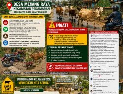 Warga Diduga Menjadi Korban Kecelakaan Akibat Ternak Berkeliaran; IKBML Sumsel dan Masyarakat Pedamaran Desak Penertiban Tegas