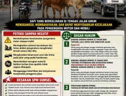 Ternak Berkeliaran di Jalur Strategis Ogan Ilir, SPM Sumsel Desak Penertiban Demi Keselamatan Pengguna Jalan