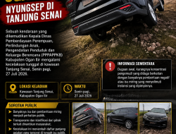 Kecelakaan Diduga  Mobil Kadis PPPAPPKB Ogan Ilir Jadi Sorotan, Publik Tunggu Penjelasan Resmi Penyebab Insiden