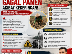 SPM Sumsel Soroti Ancaman Gagal Panen di Ogan Ilir